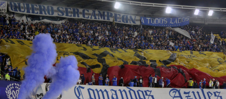 Hinchas Millonarios 2022