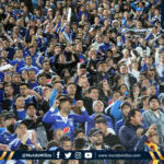 Hinchas Millonarios Hinchas Millonarios