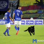 Millonarios Cali 2022 Millonarios Cali 2022