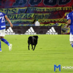 Millonarios Cali 2022 Millonarios Cali 2022