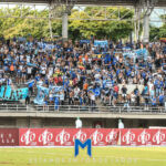 Pereira Millonarios 2024 Pereira Millonarios 2024