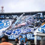 Hinchas Millonarios 2025 Hinchas Millonarios 2025